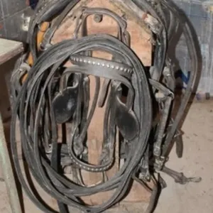 Heavy Competitive Type Single Draft Harness