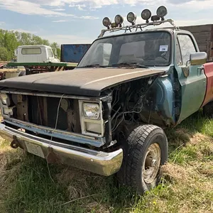 1985 CHEV 2500 4X4 REG CAB LONG BOX TRUCK - PROJECT TRUCK