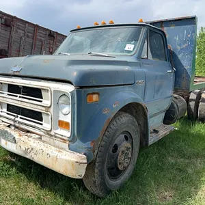 1969 CHEV C50 S/A TRUCK - PROJECT TRUCK