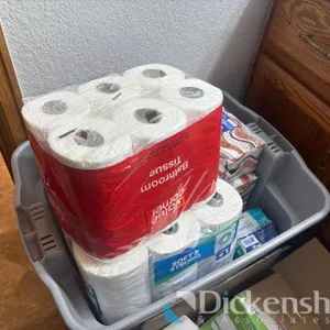 ASSORTMENT OF BATHROOM UTILITIES