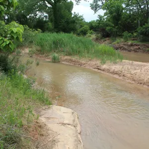 Stewart Land Auction