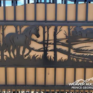 BI-PARTING DECORATIVE METAL GATES