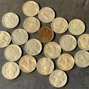20 Nice Buffalo Nickels from Estate