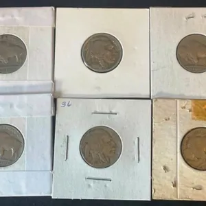 6 Nice Buffalo Nickels in Holders