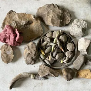 Fossil Bucket