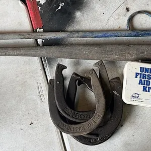 First Aid and Horse Shoes???