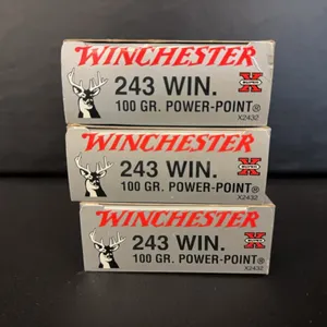 60 Rnds Winchester 243 Win