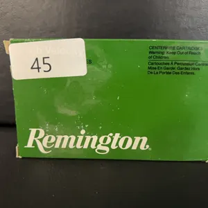 20 Rnds Remington 270 WIN