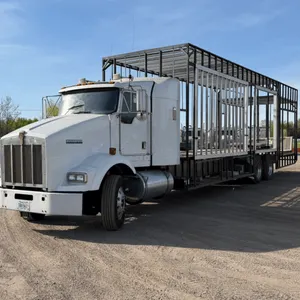1999 Kenworth T800 Truck
