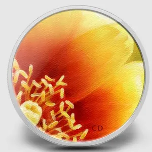 2013 CANADA 25-CENT MAGNIFIED BEAUTY
