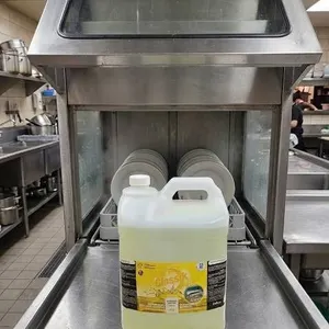 Classik Dishwasher Sanitizer, 10L