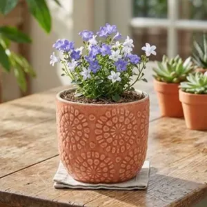Stone & Beam Floral Embossed Planter Set