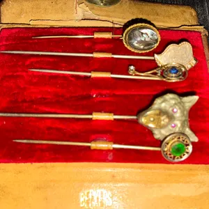 Five Hat Pins in Case