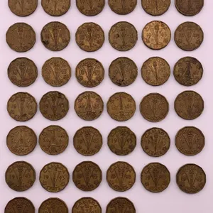 1943 Canada 1 Cent “Victory Torch” Large Mixed Lot