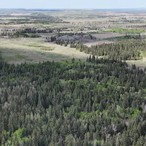 LEASE LAND - LOCATED NEAR MYRNAM, AB - SUBJECT TO FINAL BID