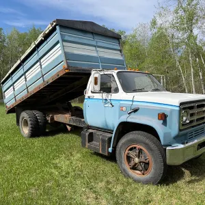 1981 GMC C-6000 3 Ton Grain Truck