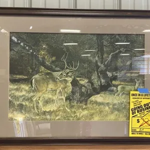 Framed Deer Print