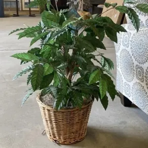 New Artificial House Plant