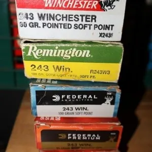 243 Ammo