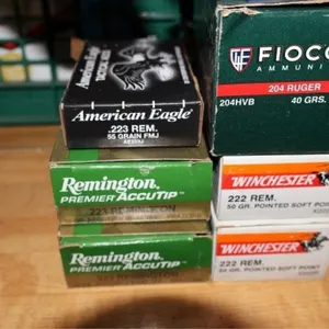 223/222/204 Ammo