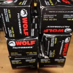 308 Ammo