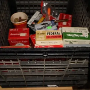 20 Gauge Ammo