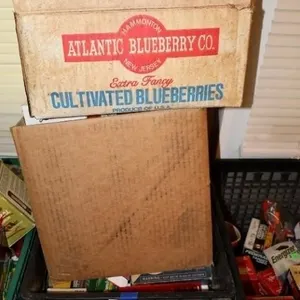 Quantity of Brass & Reloaded Ammo