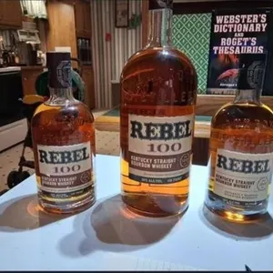 Rebel 100