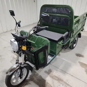 Electric Tricycle