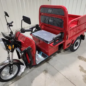 Electric Tricycle