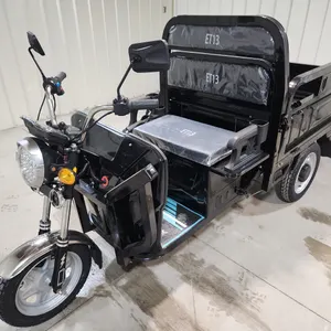 Electric Tricycle
