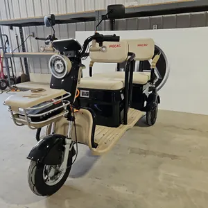 Electric Tricycle