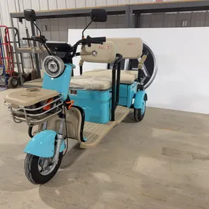 Electric Tricycle