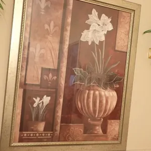 Amaryllis Print in Frame