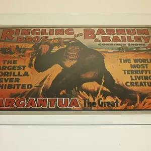 Vintage Ringling Bros. And Barnum & Bailey Gargantua Gorilla