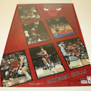 Vintage 1991 Chicago Bulls Michael Jordan Starline Basketball
