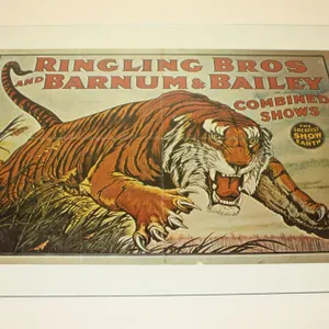Vintage Ringling Bros. And Barnum & Bailey Combined Shows Circus