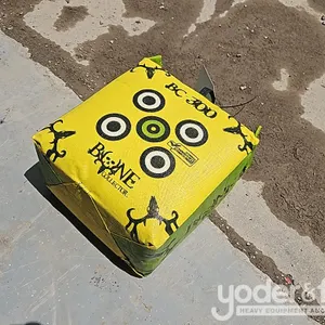 BC300 Target 