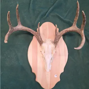PERMIAN BASIN PUBLIC AUCTION - JULY 23RD @ 9AM CT