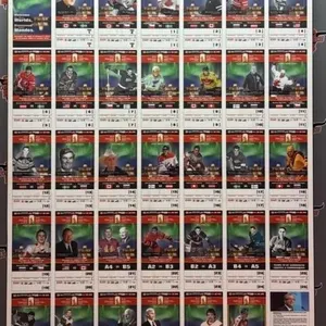 Hardboard Mounted Saskatchewan 2010 IIHF World