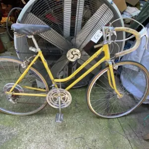 Schwinn Varsity Bicycle