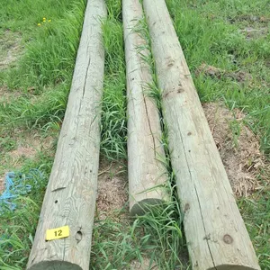 F - 3 - 38ft Hydro Posts