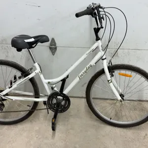Everyday Traveler Step-Through Comfort Bicycle with Shimano SIS Indexed Shifting Drivetrain, 25"