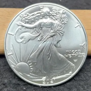 2021 T2 Silver Eagle