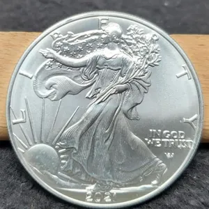 2021 T2 Silver Eagle