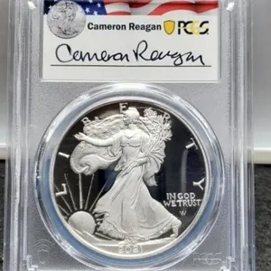 2021-WT2 Slab Proof Silver Eagle PCGS PR69 DCAM