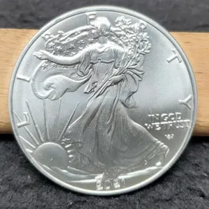 2021 T2 Silver Eagle