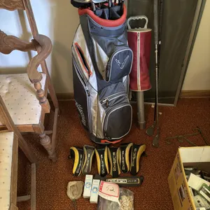 Bag of golf clubs, ball placer, club covers, balls, etc.