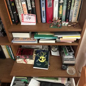 Books on shelf and below