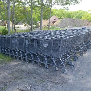 Assorted shopping Carts (150 + or -)